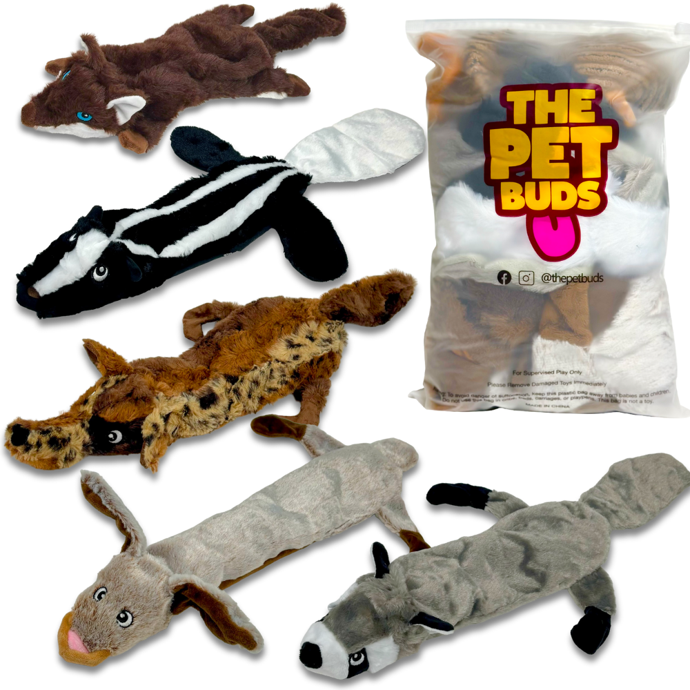 No Stuffing Dog Toys Woodland Pack of 5