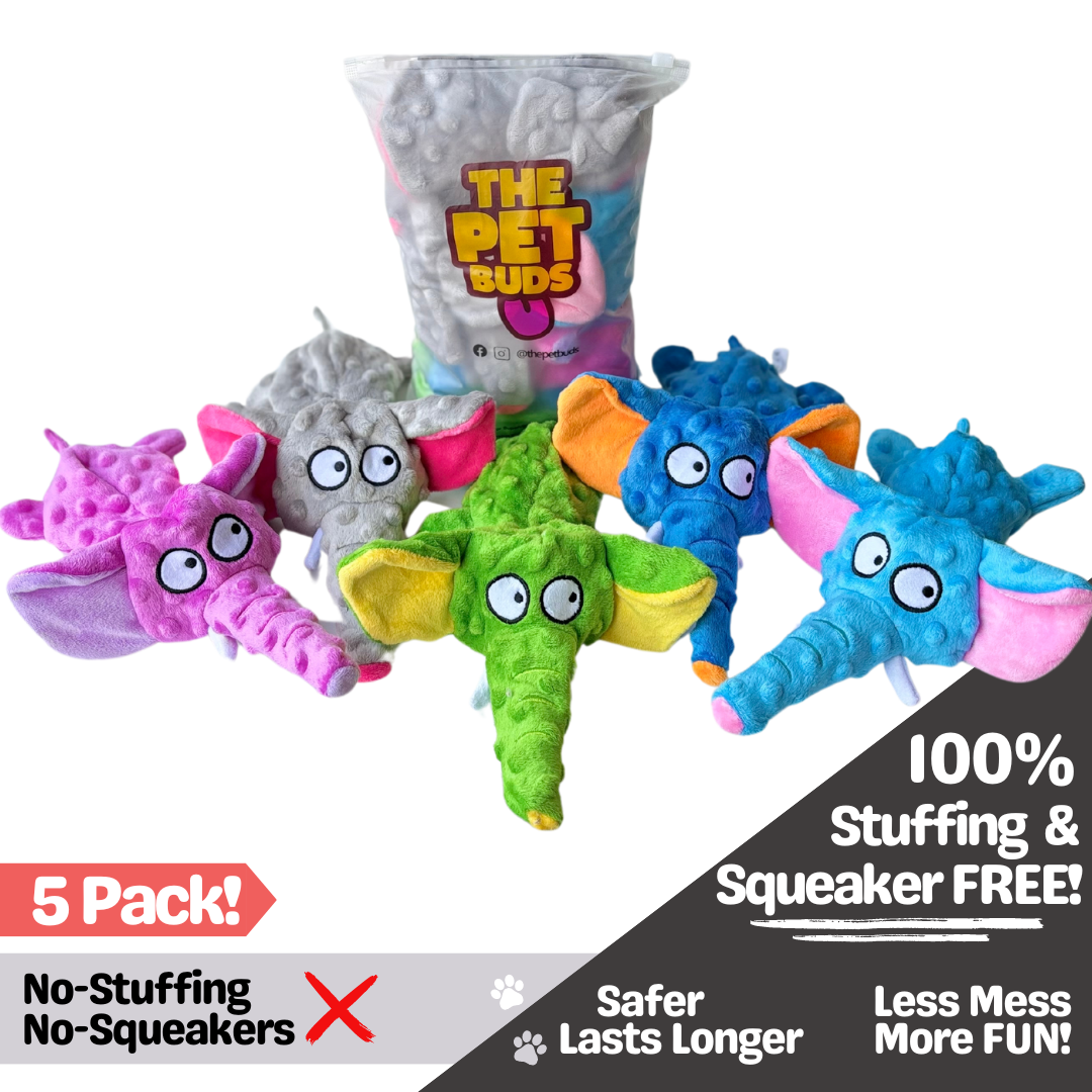 No Squeakers No Stuffing Dog Toys 2 Packs ThePetBuds