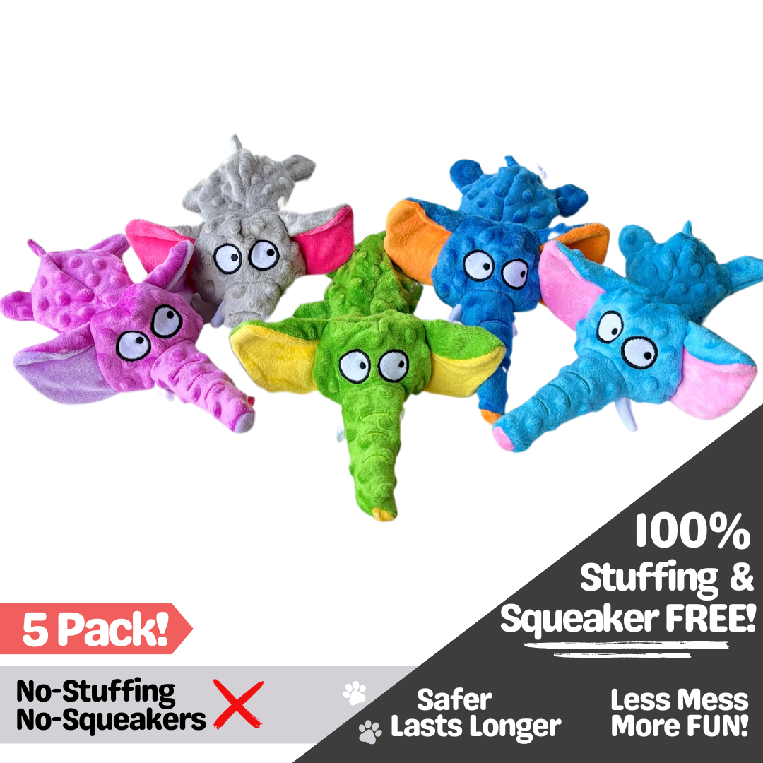 No-Squeakers, No-Stuffing Dog Toys - (6 Packs)