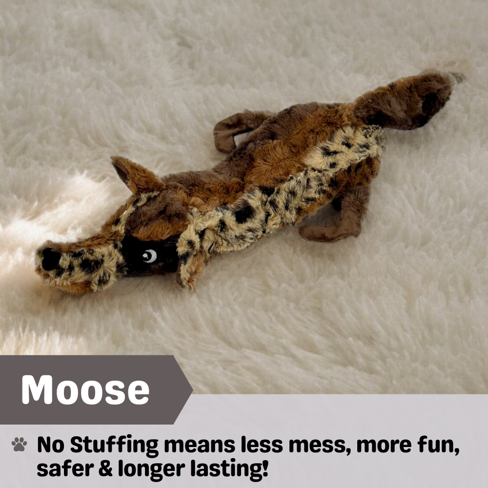 No Stuffing Dog Toys - Single Pack