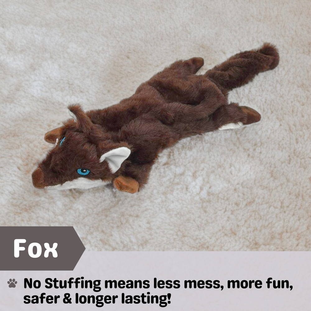 No Stuffing Dog Toys - Single Pack