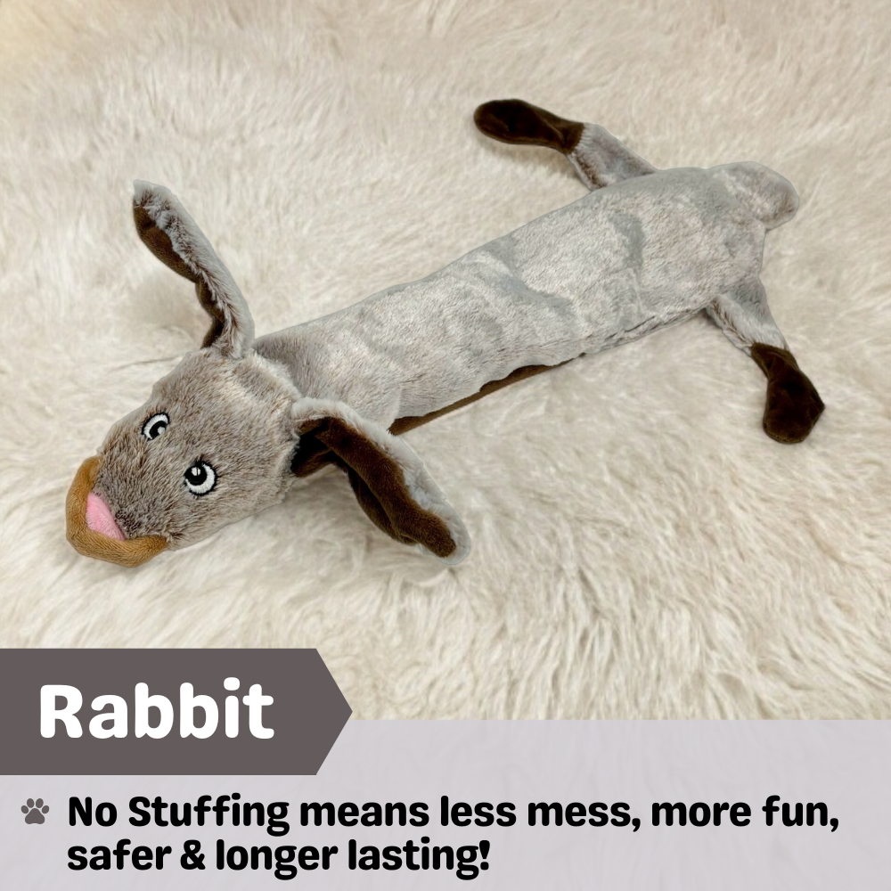 No Stuffing Dog Toys - Single Pack