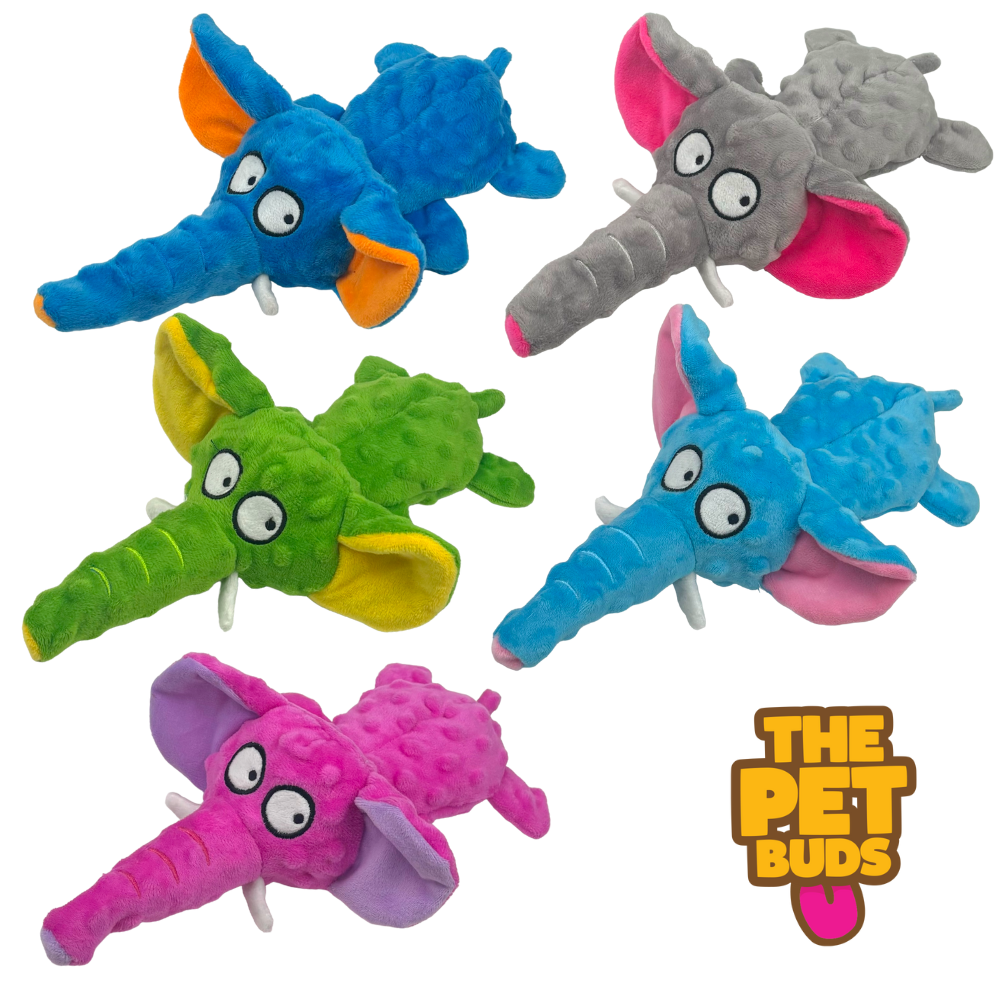 No-Squeakers, No-Stuffing Dog Toys Pack of 5