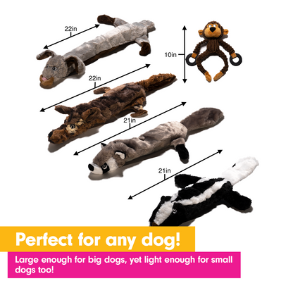 No Stuffing Dog Toys - (4 Packs)