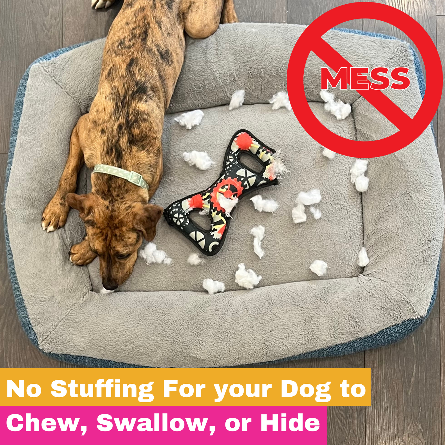 No Stuffing Dog Toys - (3 Packs)