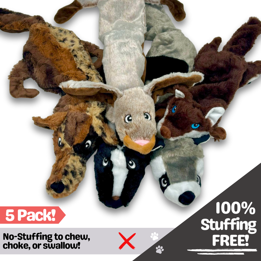 No Stuffing Dog Toys Woodland Pack of 5